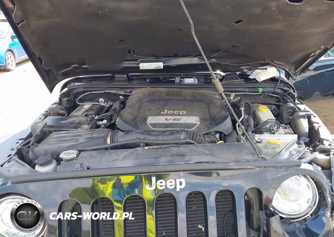 2017 Jeep Wrangler Unlimited Rubicon 4X4 VIN:1C4BJWFG4HL523433 - 10