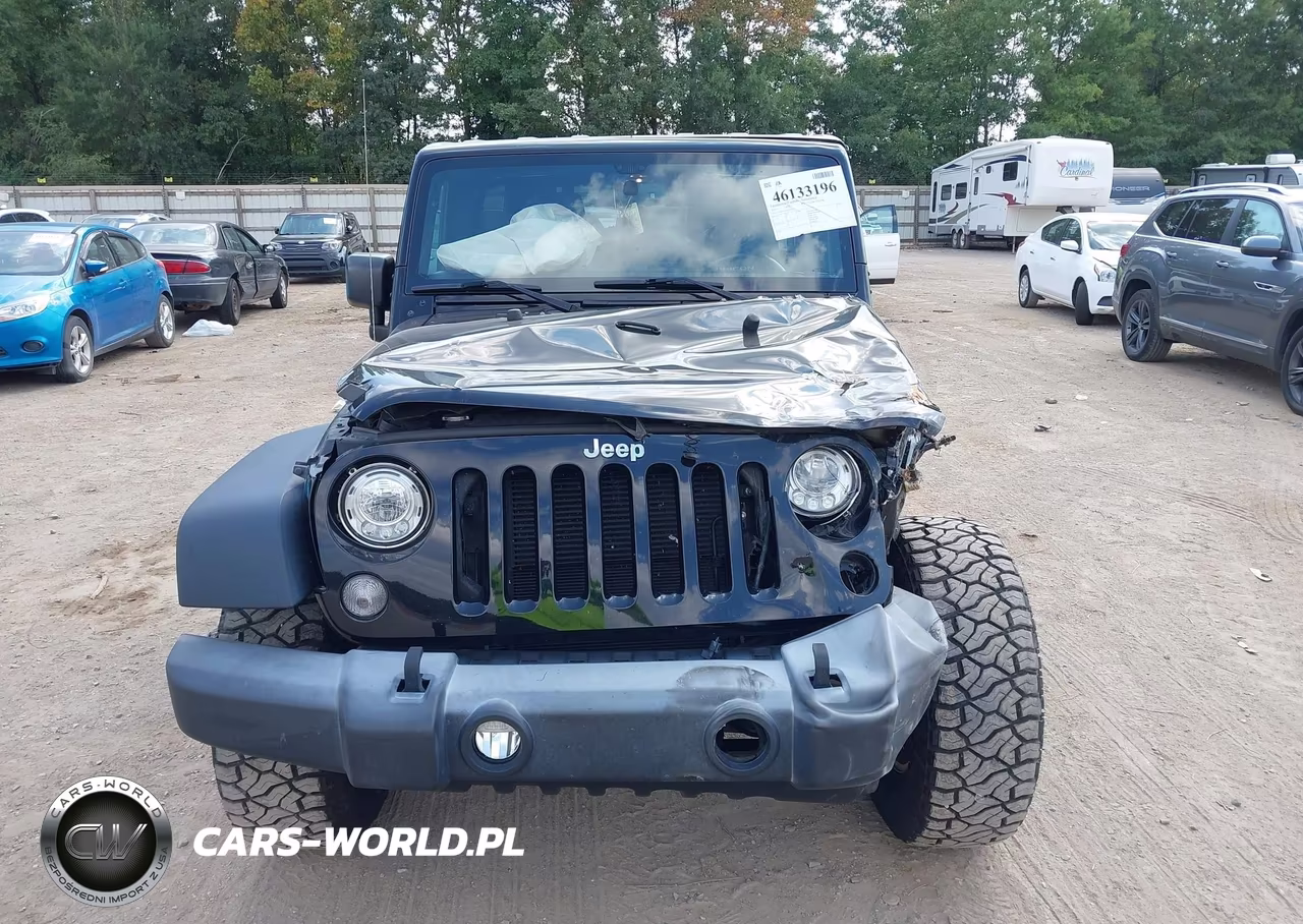 2017 Jeep Wrangler Unlimited Rubicon 4X4 VIN:1C4BJWFG4HL523433 - 12