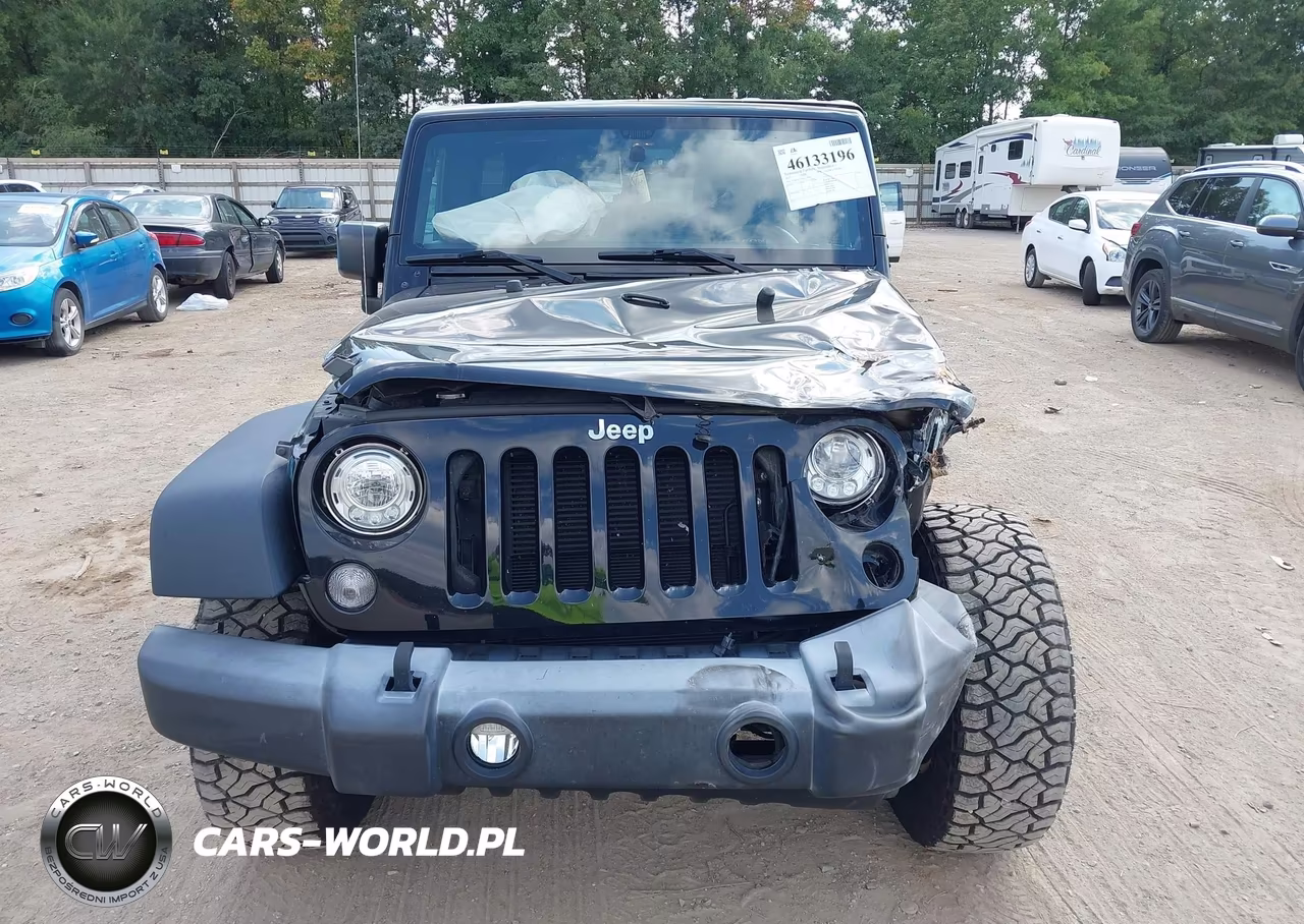 2017 Jeep Wrangler Unlimited Rubicon 4X4 VIN:1C4BJWFG4HL523433 - 6