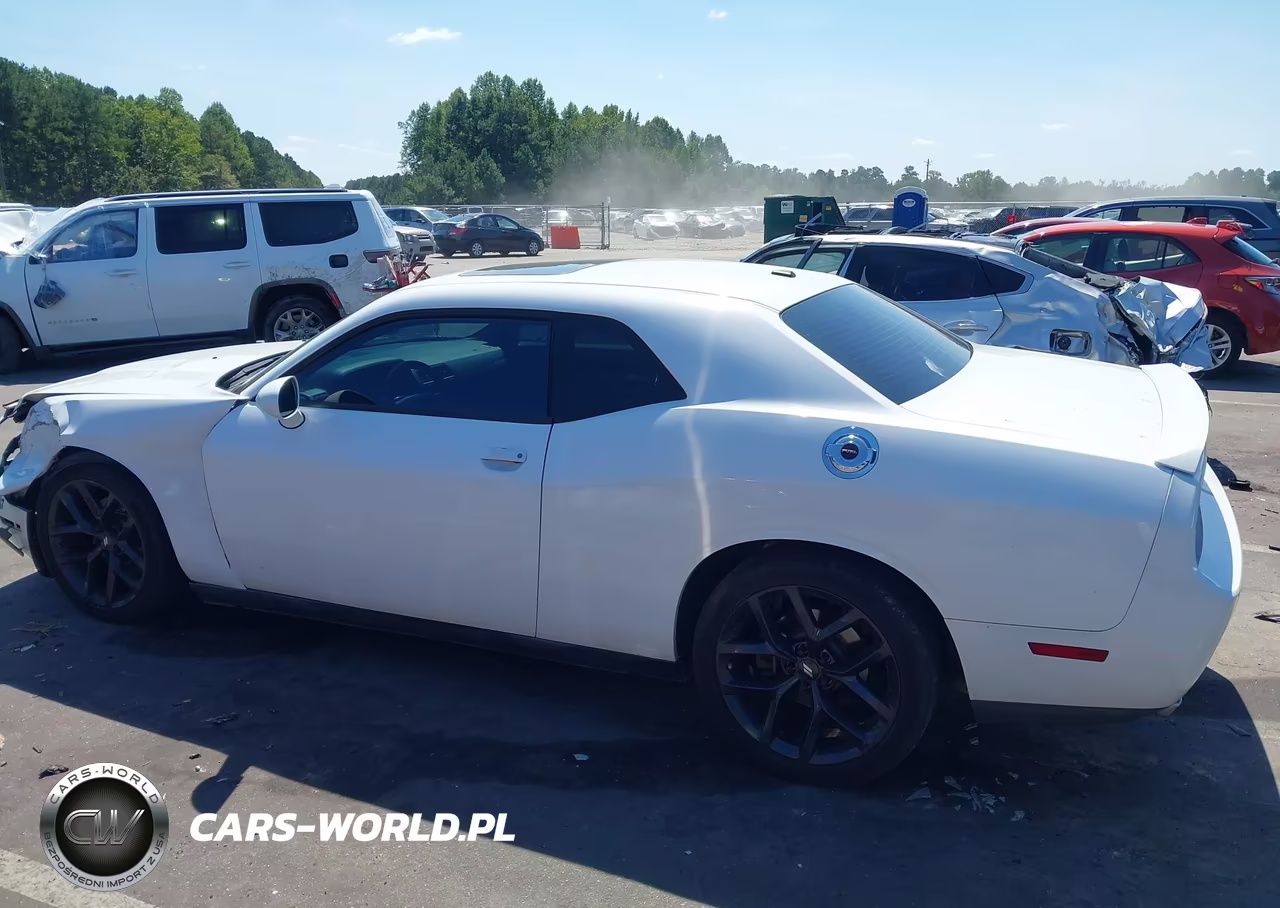 2013 Dodge Challenger Rallye Redline VIN:2C3CDYAG0DH548811 - 14