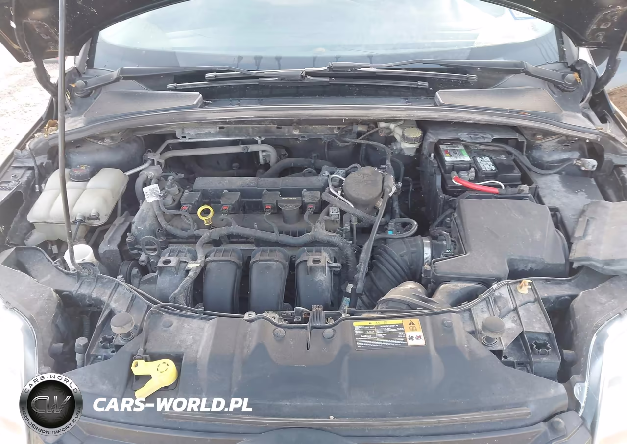 2014 Ford Focus Se VIN:1FADP3K2XEL130814 - 10