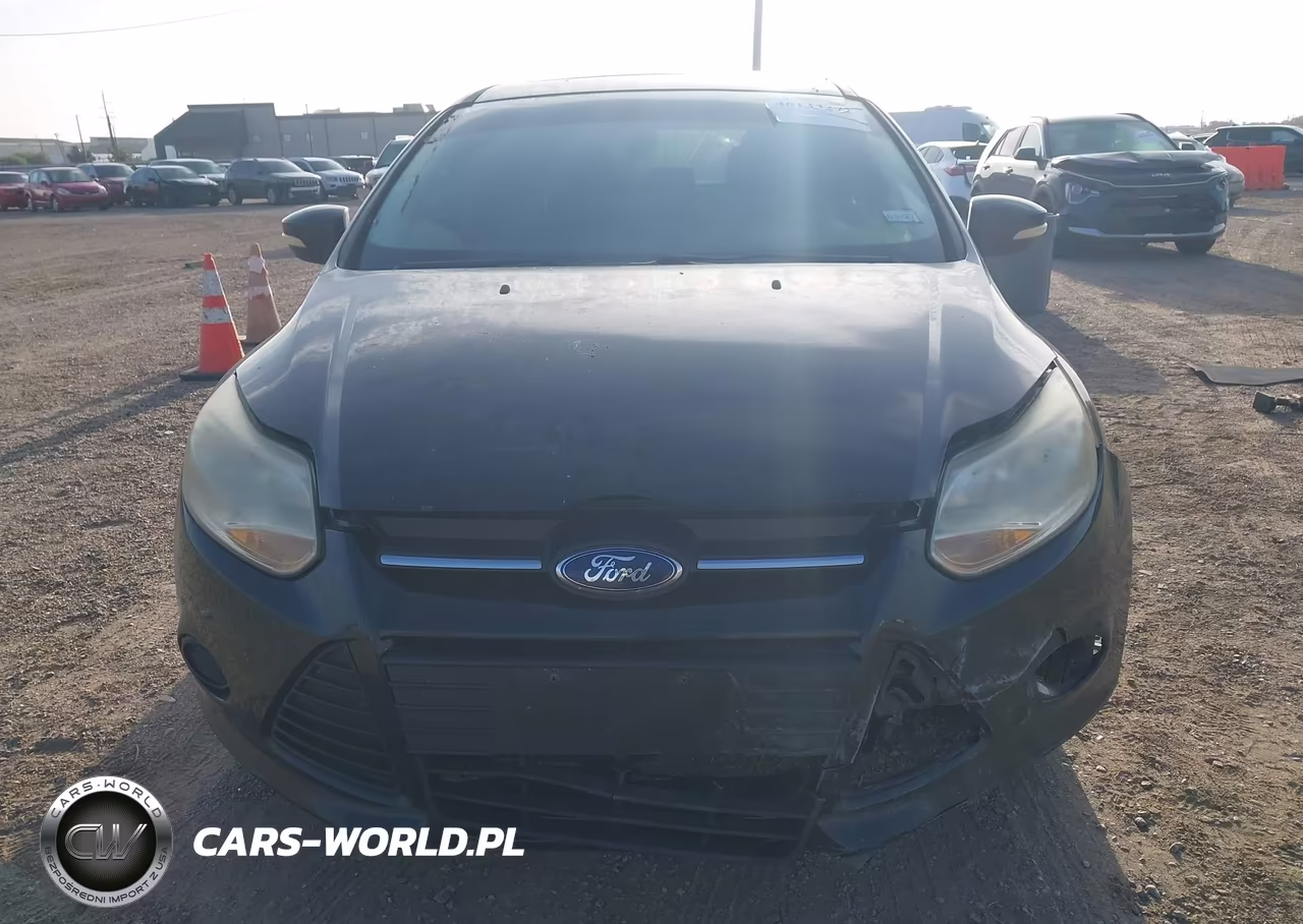 2014 Ford Focus Se VIN:1FADP3K2XEL130814 - 12