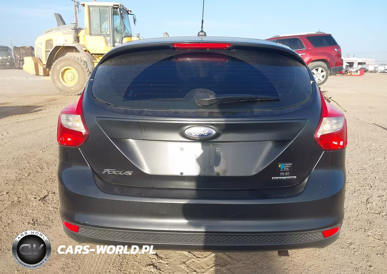 2014 Ford Focus Se VIN:1FADP3K2XEL130814 - 16