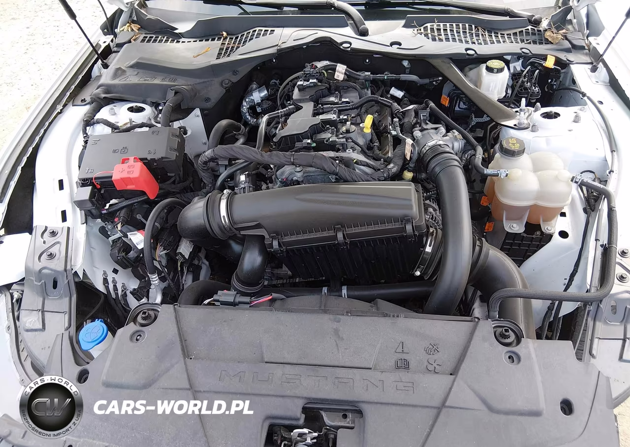 2024 Ford Mustang Ecoboost Premium VIN:1FAGP8UH1R5124440 - 10