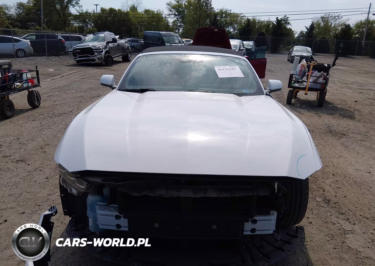 2024 Ford Mustang Ecoboost Premium VIN:1FAGP8UH1R5124440 - 12