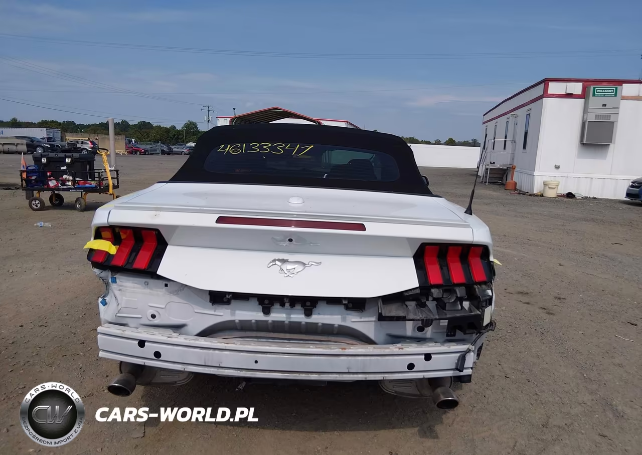 2024 Ford Mustang Ecoboost Premium VIN:1FAGP8UH1R5124440 - 16