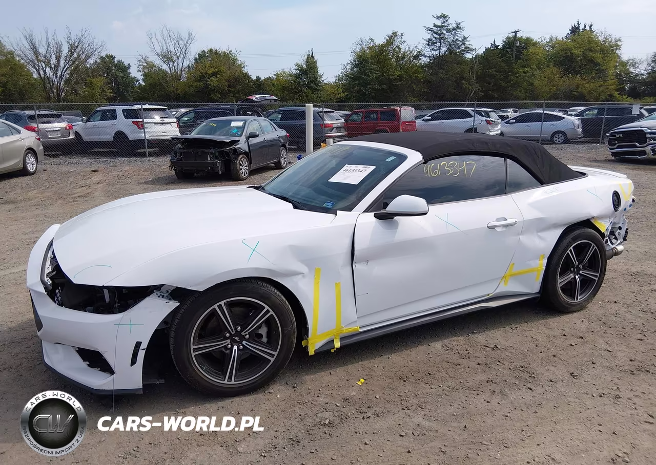 2024 Ford Mustang Ecoboost Premium VIN:1FAGP8UH1R5124440 - 6