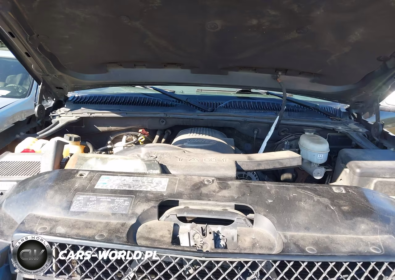 2003 Chevrolet Avalanche 1500 VIN:3GNEK13T73G147631 - 10