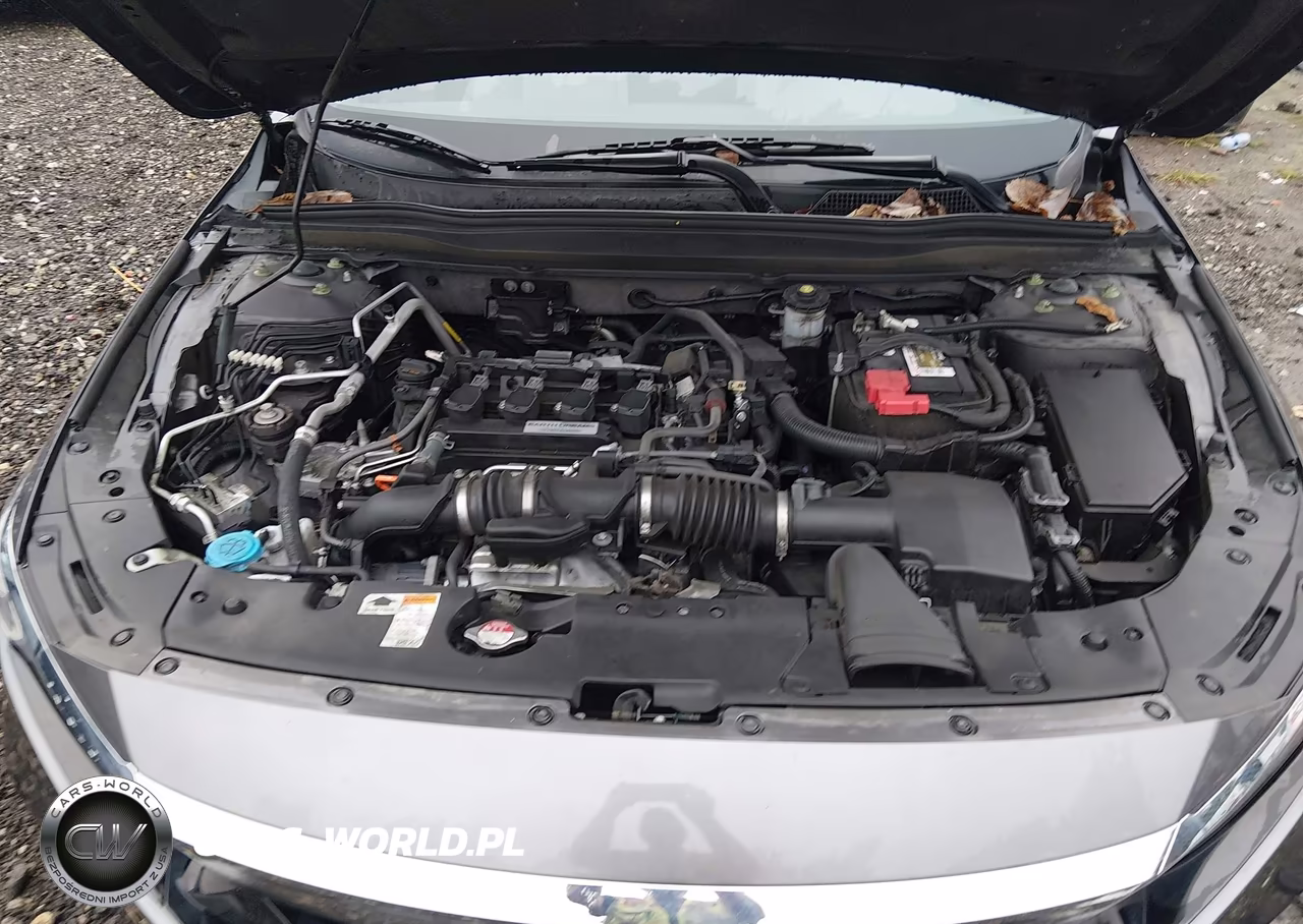 2019 Honda Accord Ex VIN:1HGCV1F42KA067065 - 10
