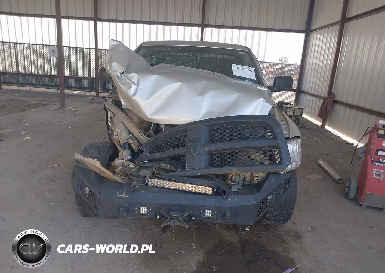 2010 Dodge Ram 1500 VIN:1D7RB1GK1AS194855 - 12