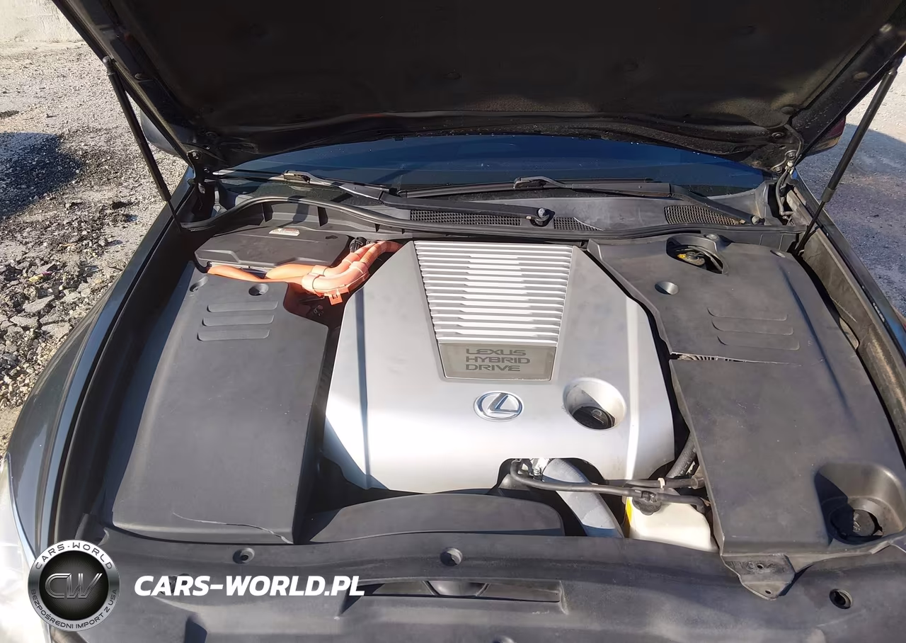 2007 Lexus Gs 450H VIN:JTHBC96S275007122 - 10