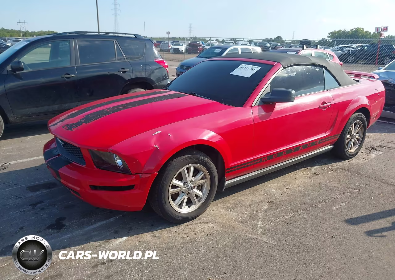 2006 Ford Mustang V6 VIN:1ZVFT84N165135230 - 2