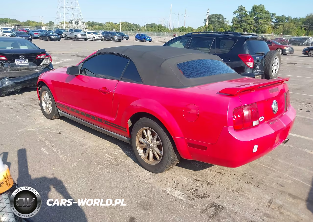 2006 Ford Mustang V6 VIN:1ZVFT84N165135230 - 3