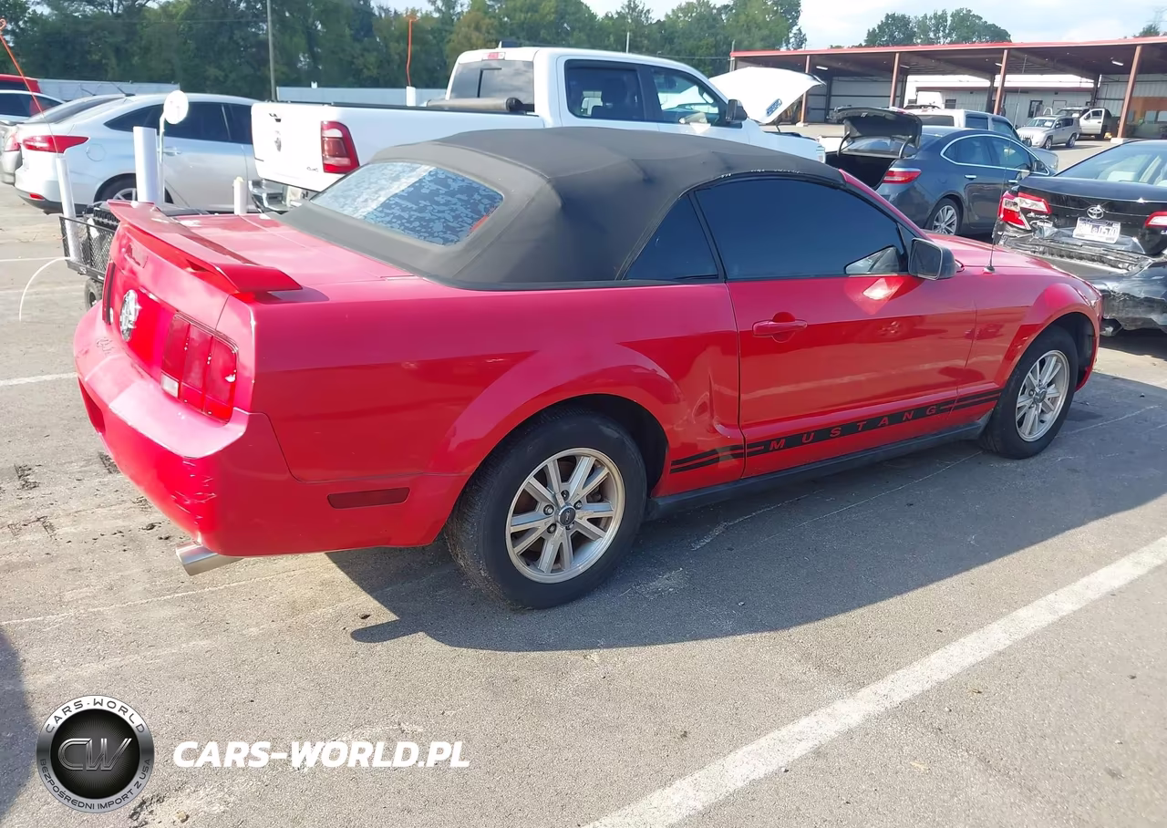 2006 Ford Mustang V6 VIN:1ZVFT84N165135230 - 4