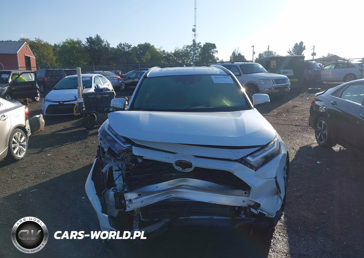 2025 Toyota Rav4 Hybrid Xle Premium VIN:JTMB6RFV8SD156491 - 12