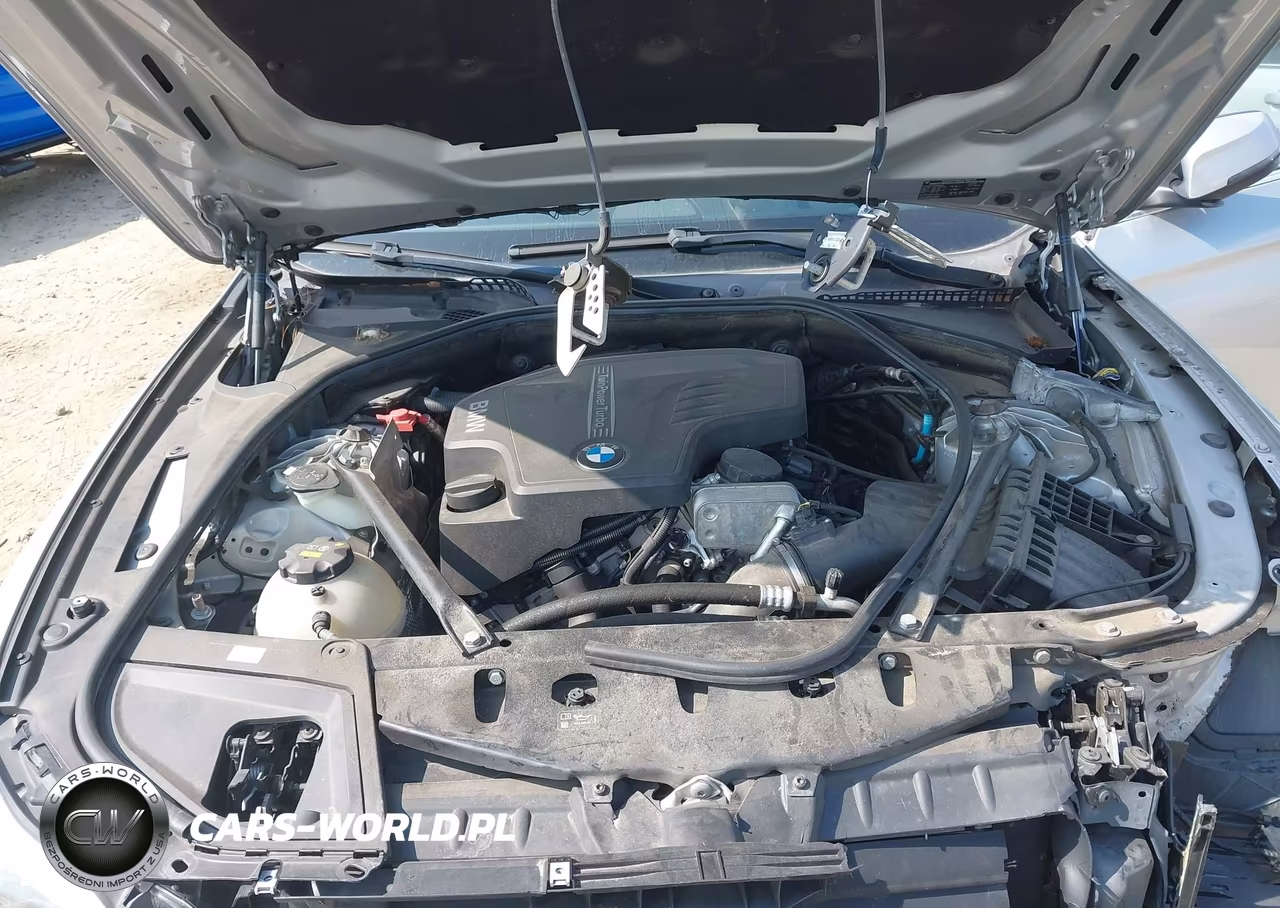 2016 BMW 528I VIN:WBA5A5C50GG353845 - 10