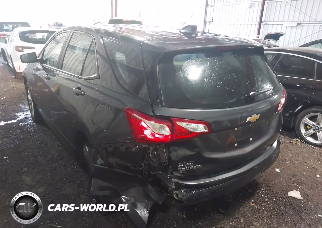 2020 Chevrolet Equinox Fwd Ls VIN:3GNAXHEVXLS585256 - 3