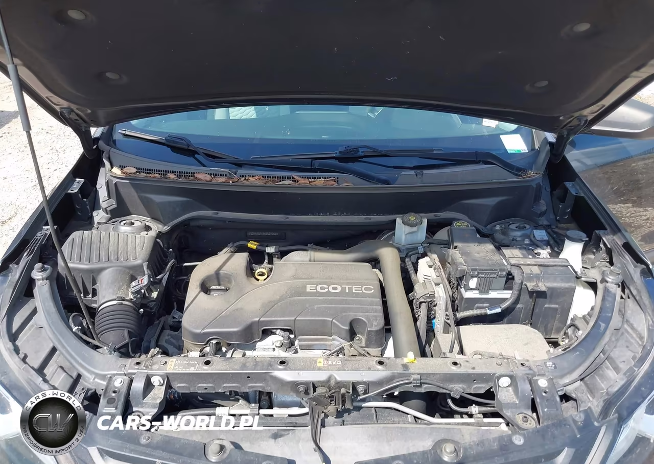 2019 Chevrolet Equinox Ls VIN:3GNAXSEV1KS624067 - 10