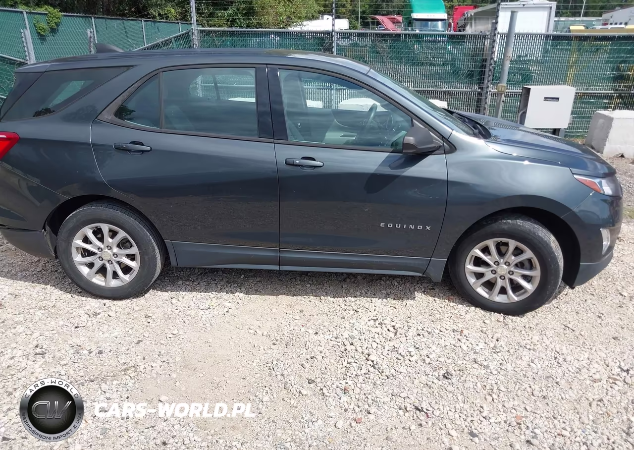 2019 Chevrolet Equinox Ls VIN:3GNAXSEV1KS624067 - 13