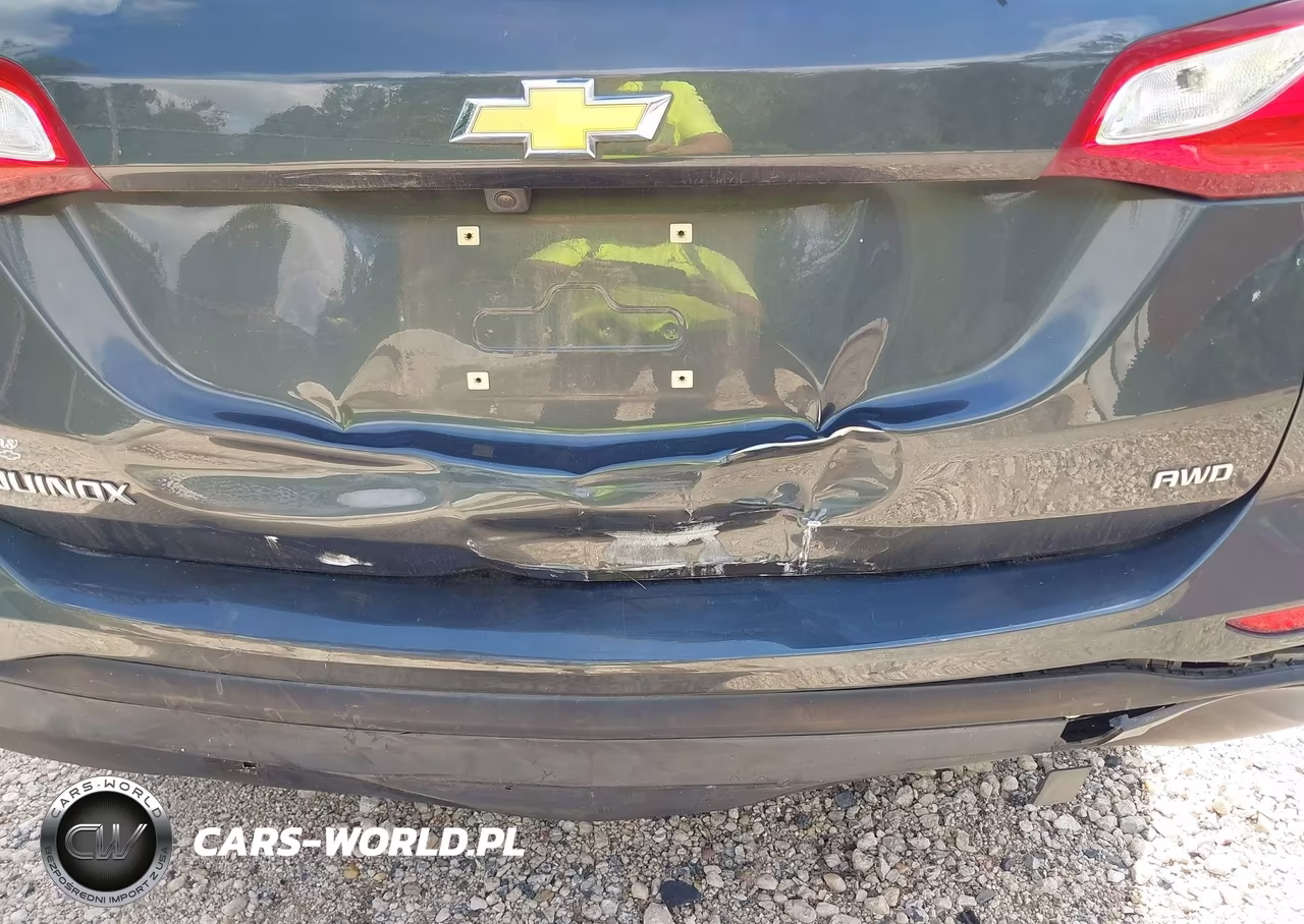 2019 Chevrolet Equinox Ls VIN:3GNAXSEV1KS624067 - 6
