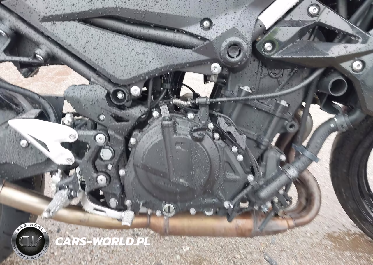 2019 Kawasaki Er400 D VIN:JKAERKD11KDA49307 - 8