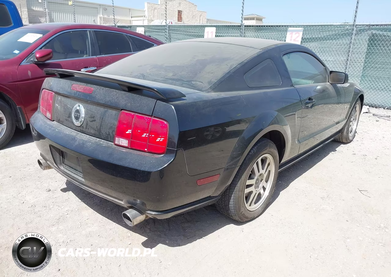 2005 Ford Mustang Gt Deluxe-Gt Premium VIN:1ZVFT82H055127602 - 4