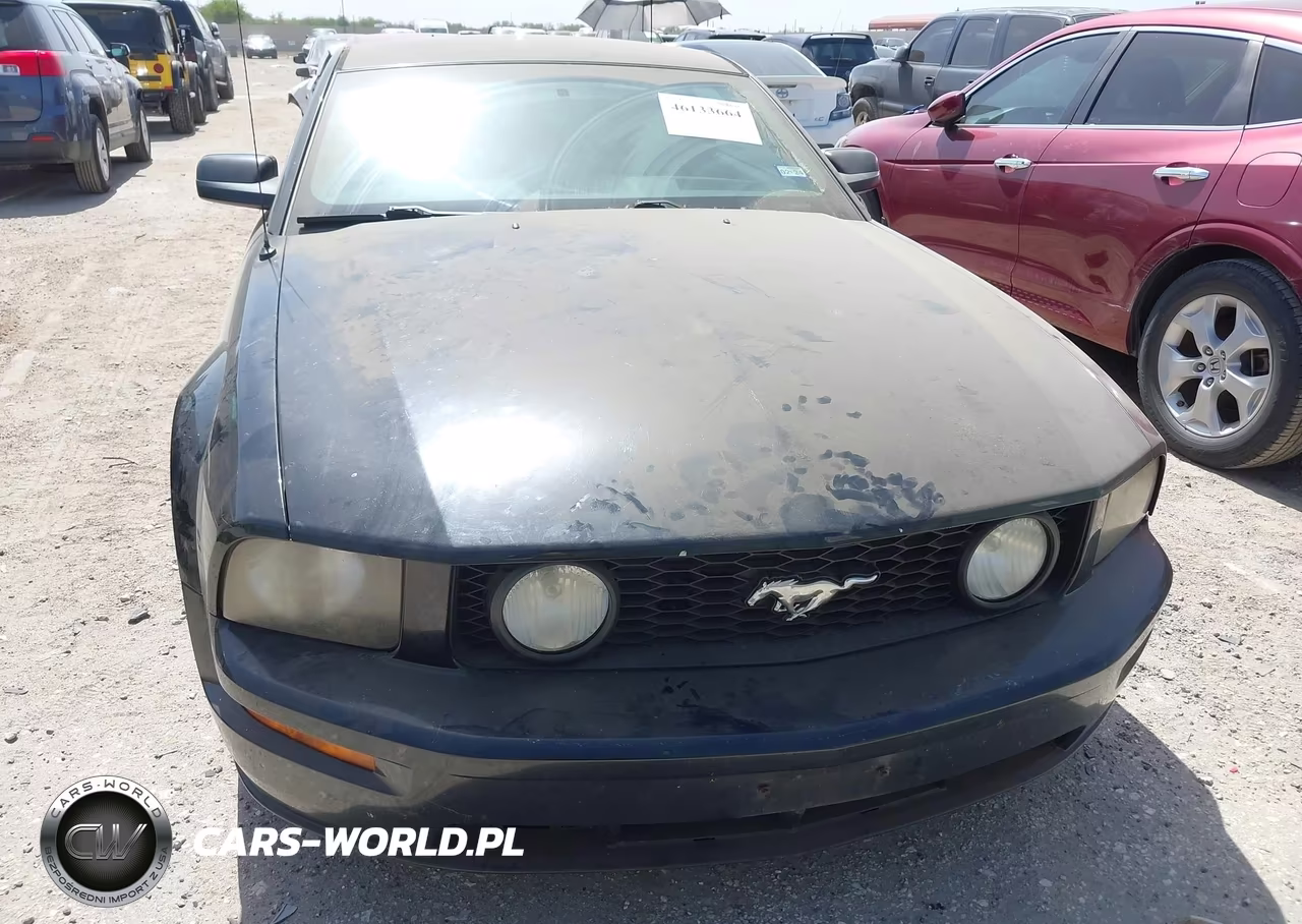 2005 Ford Mustang Gt Deluxe-Gt Premium VIN:1ZVFT82H055127602 - 6