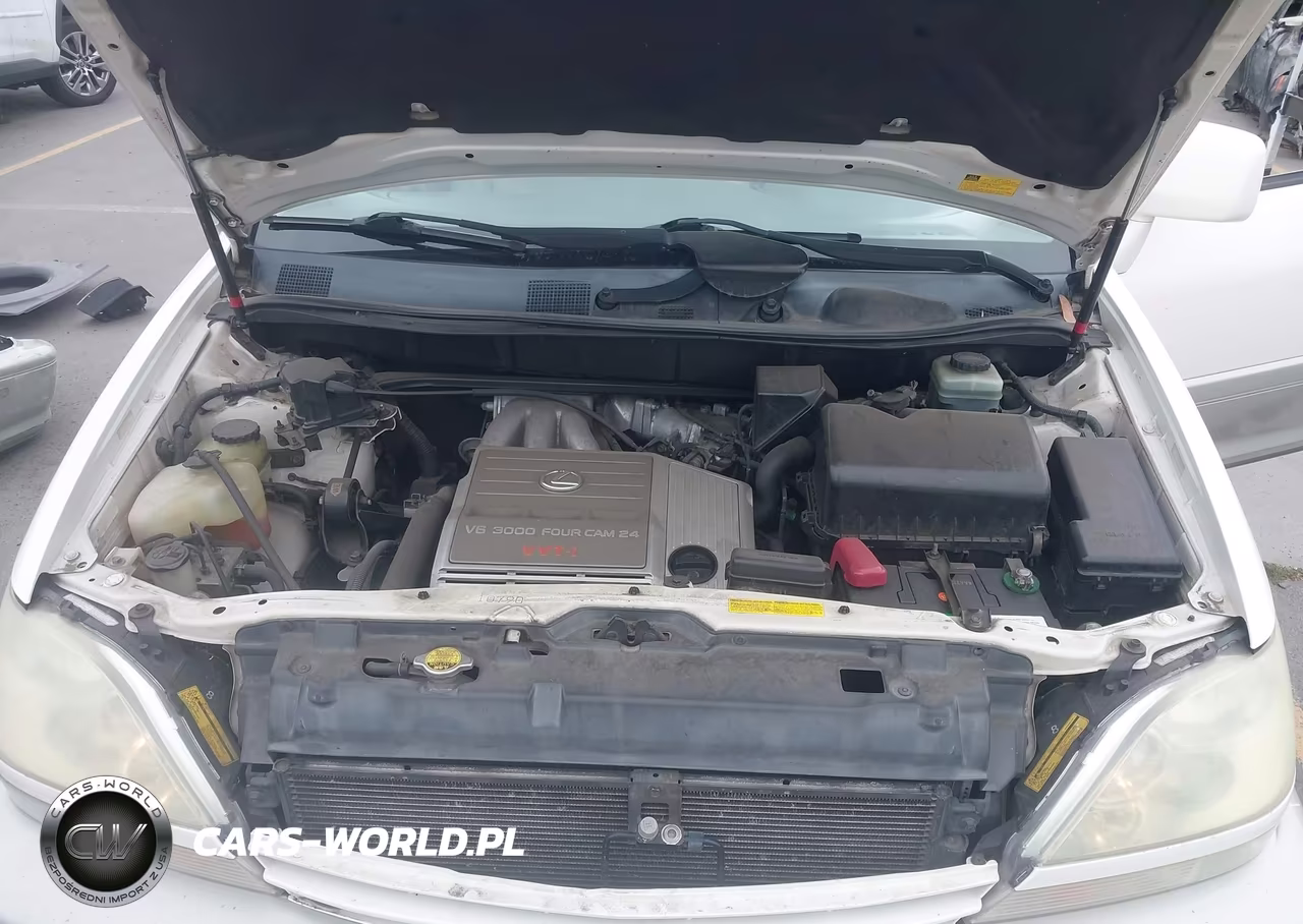 2001 Lexus Rx 300 VIN:JTJHF10U010198250 - 10
