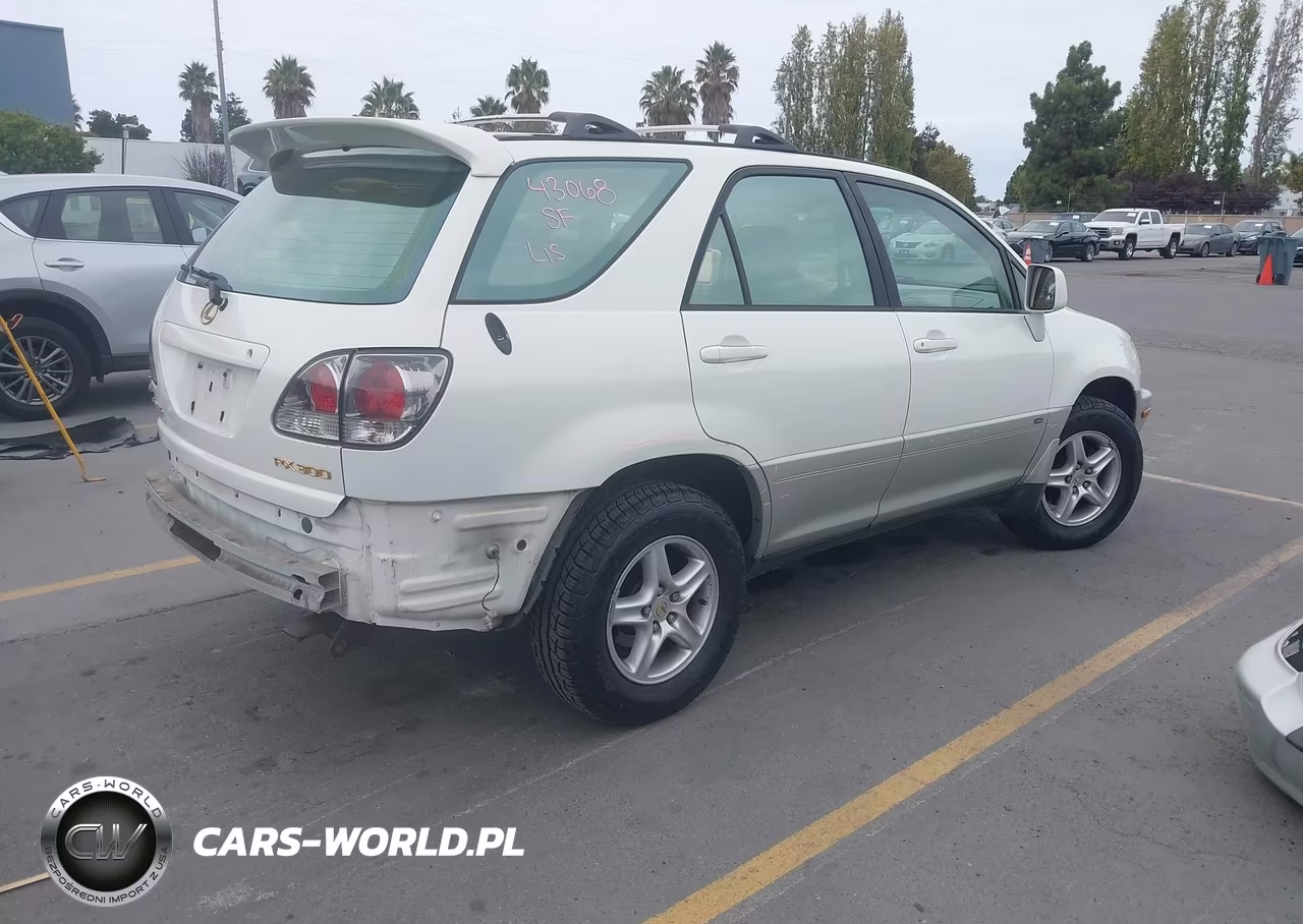 2001 Lexus Rx 300 VIN:JTJHF10U010198250 - 4