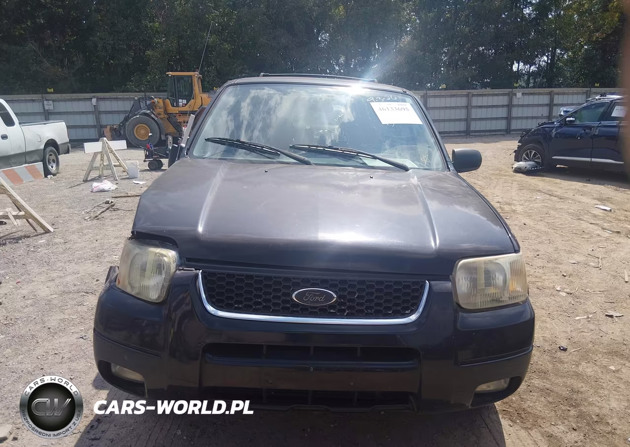 2003 Ford Escape Limited VIN:1FMCU94133KE20400 - 12