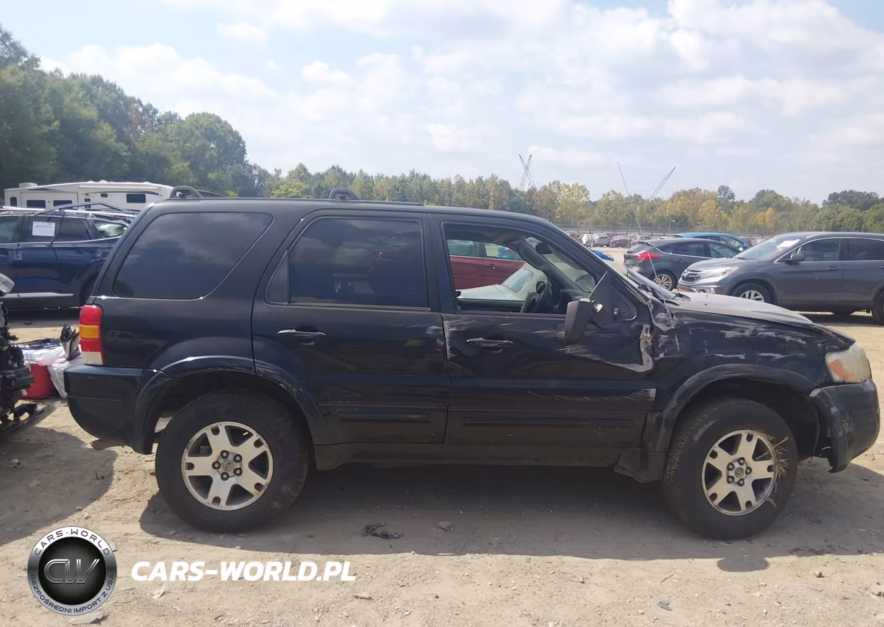 2003 Ford Escape Limited VIN:1FMCU94133KE20400 - 13