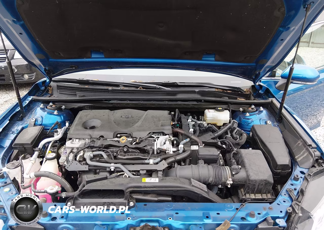 2020 Toyota Camry Xle Hybrid VIN:4T1F31AKXLU018358 - 10