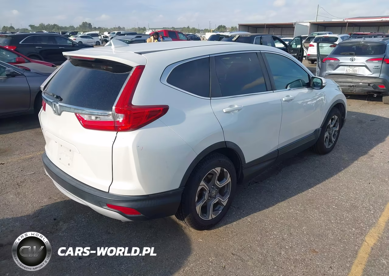 2019 Honda Cr-V Ex VIN:7FARW1H52KE019637 - 4