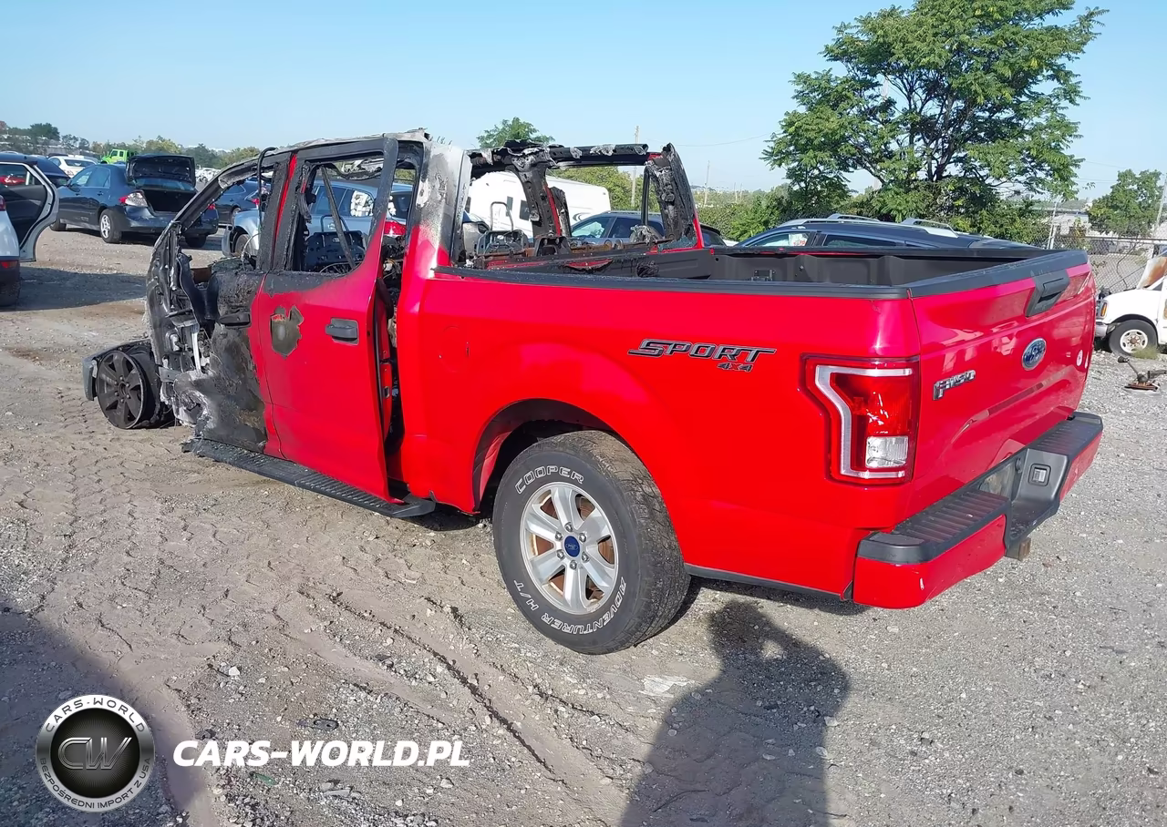 2016 Ford F-150 Xl VIN:1FTEW1EP1GFC10968 - 3