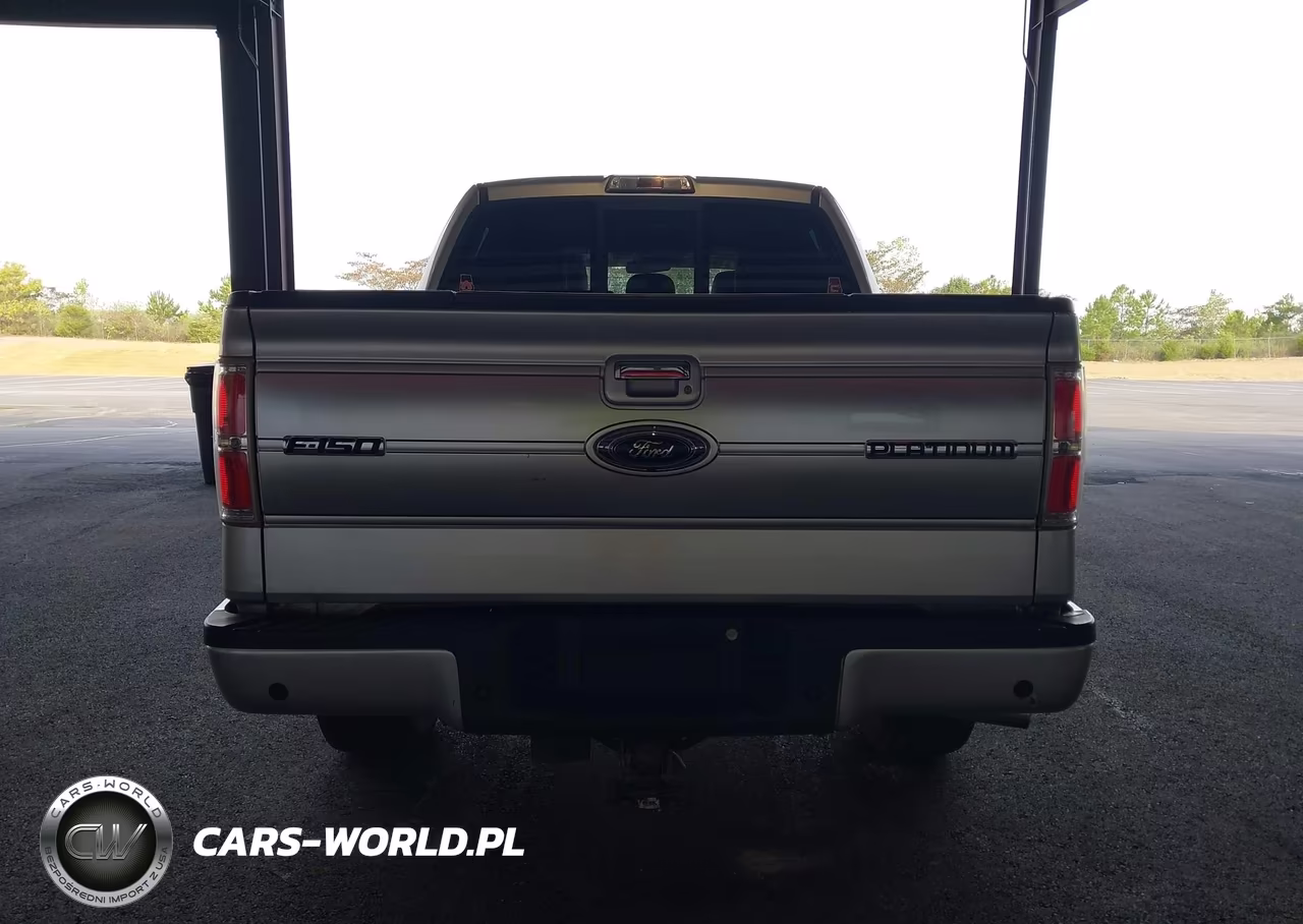 2013 Ford F-150 Platinum VIN:1FTFW1ET9DFC16594 - 16