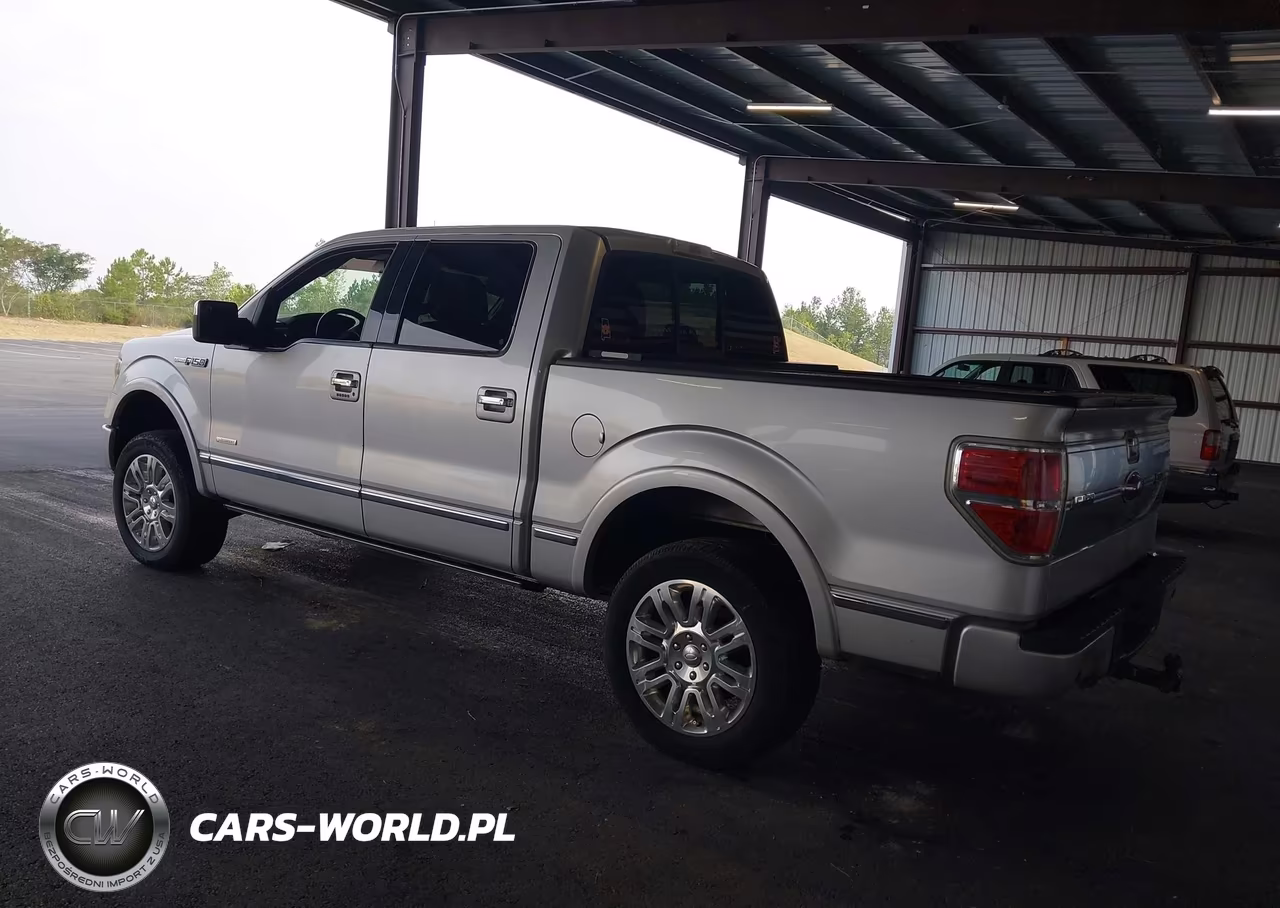 2013 Ford F-150 Platinum VIN:1FTFW1ET9DFC16594 - 3