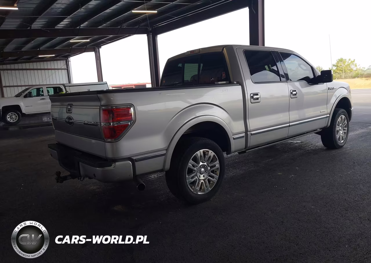 2013 Ford F-150 Platinum VIN:1FTFW1ET9DFC16594 - 4