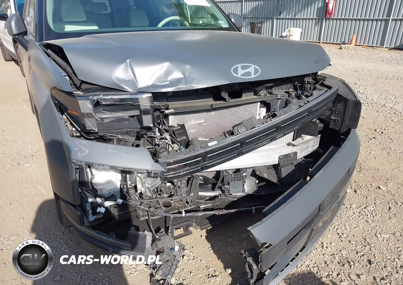 2024 Hyundai Santa Fe Hybrid Limited VIN:5NMP3DG19RH013273 - 6