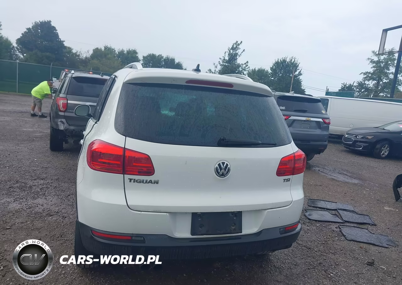 2017 Volkswagen Tiguan 2.0T Wolfsburg Edition VIN:WVGRV7AX8HK003673 - 17