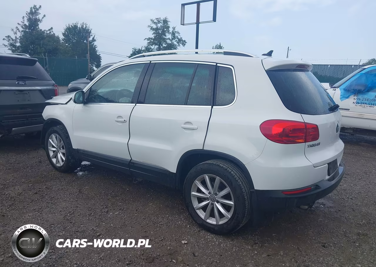 2017 Volkswagen Tiguan 2.0T Wolfsburg Edition VIN:WVGRV7AX8HK003673 - 3
