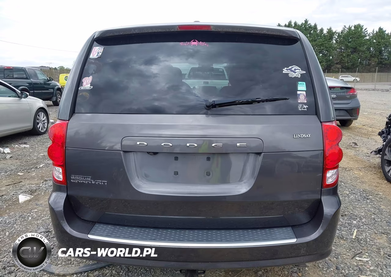 2019 Dodge Grand Caravan Se 35Th Anniversary Edition VIN:2C4RDGBG5KR777717 - 16