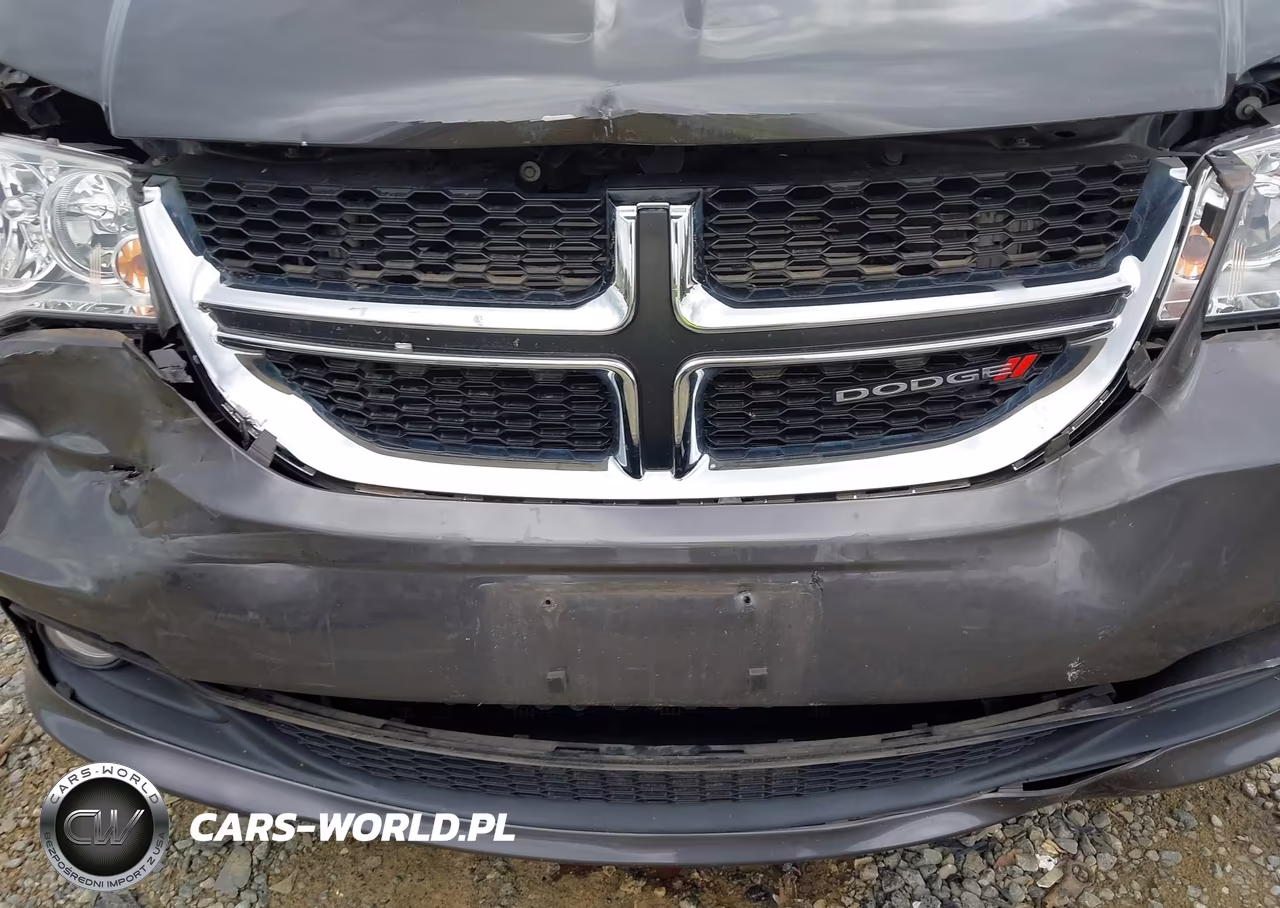 2019 Dodge Grand Caravan Se 35Th Anniversary Edition VIN:2C4RDGBG5KR777717 - 6