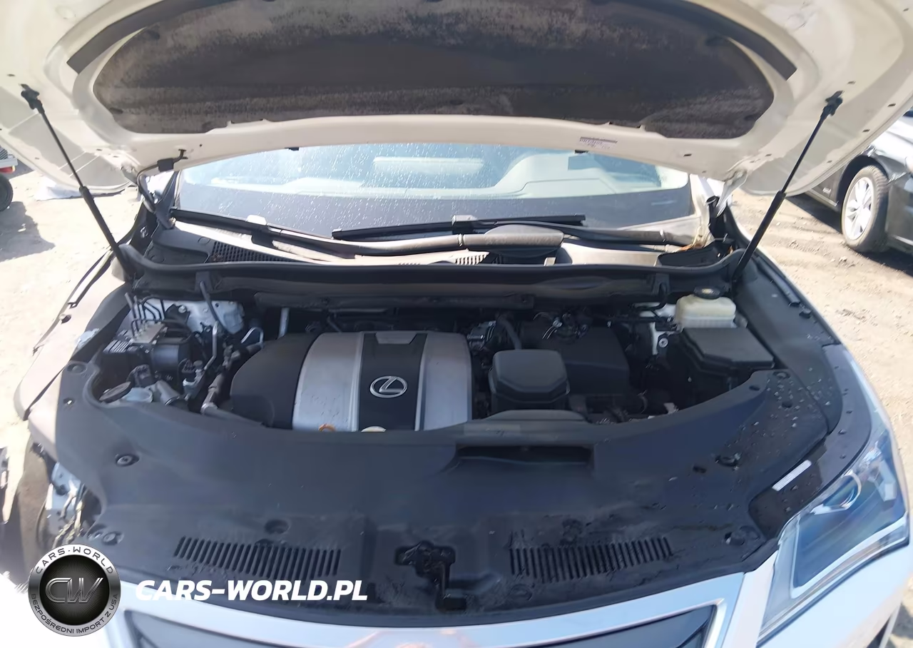 2017 Lexus Rx 350 VIN:2T2ZZMCA3HC059209 - 10