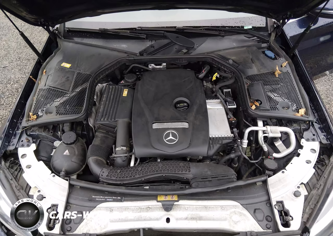 2016 Mercedes-Benz C 300 4Matic VIN:55SWF4KB3GU142013 - 10