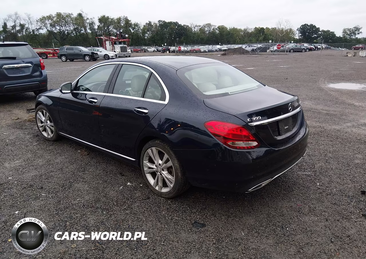 2016 Mercedes-Benz C 300 4Matic VIN:55SWF4KB3GU142013 - 3