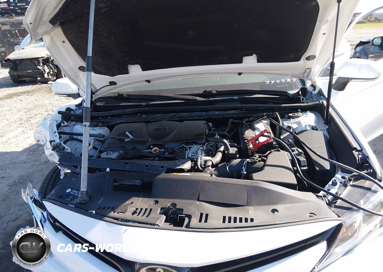 2020 Toyota Camry Le VIN:4T1L11AK6LU876659 - 10