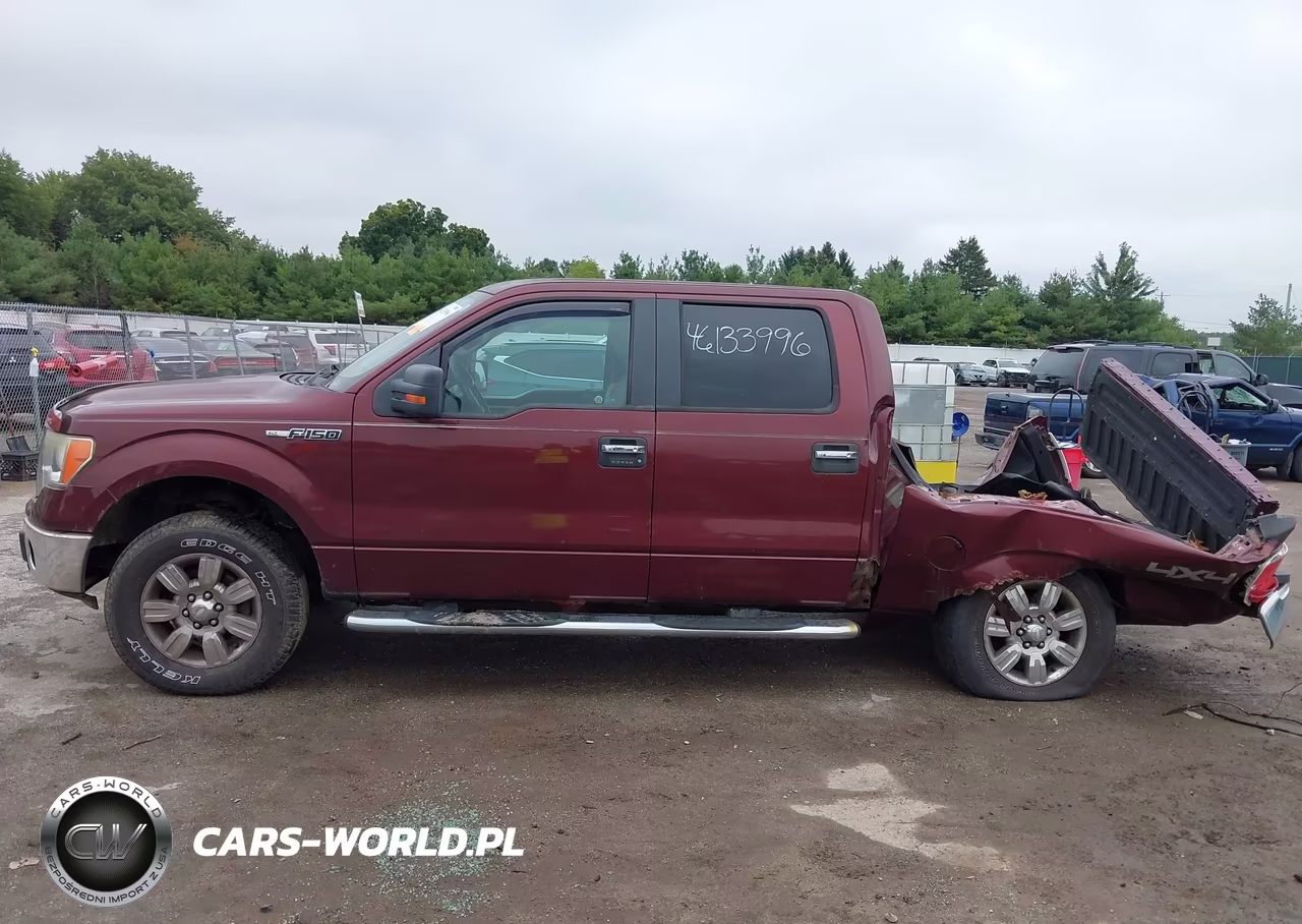 2009 Ford F-150 Xlt VIN:1FTPW14V99FA58529 - 15