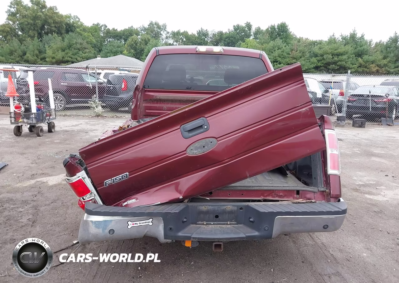 2009 Ford F-150 Xlt VIN:1FTPW14V99FA58529 - 17