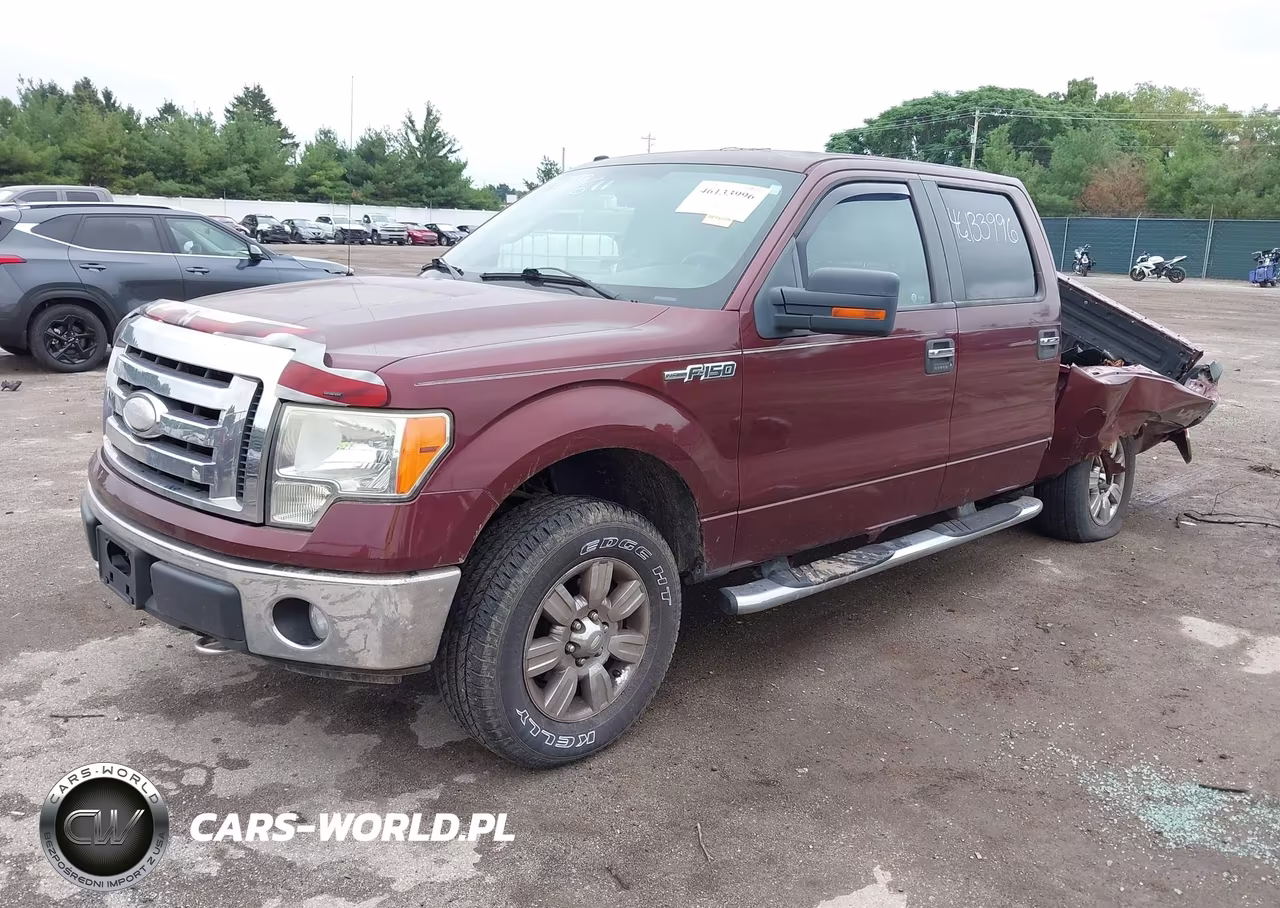 2009 Ford F-150 Xlt VIN:1FTPW14V99FA58529 - 2