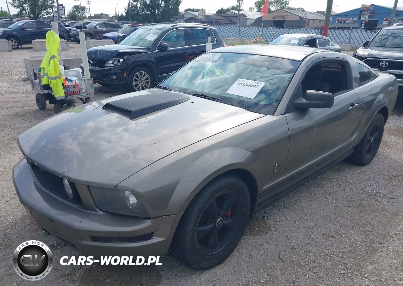 2005 Ford Mustang V6 Deluxe-V6 Premium VIN:1ZVFT80N855194618 - 2